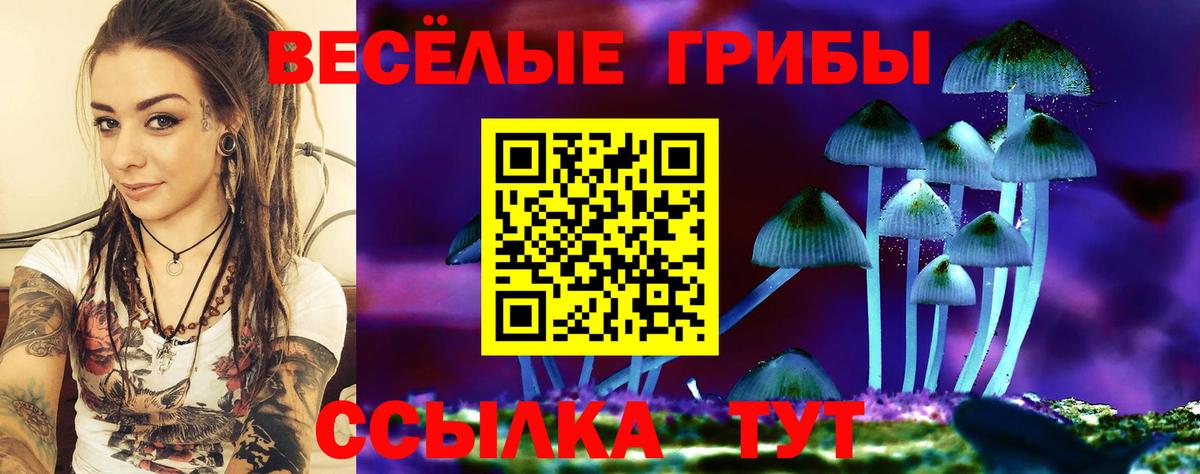 Псилоцибиновые грибы мицелий  Вход с VPN  Карталы 